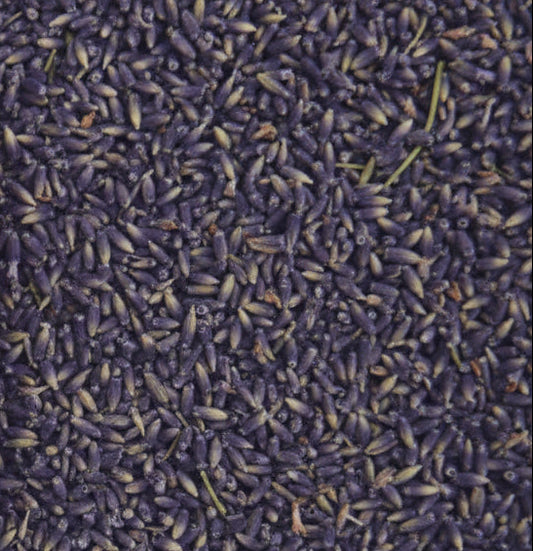 Culinary-Grade Lavender Buds - Loose by the Cup