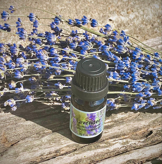 Lavender Essential Oil (Lavandula x intermedia)